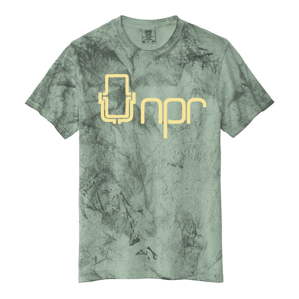 NPR '70s Mic Logo Heavyweight Color Blast Tee