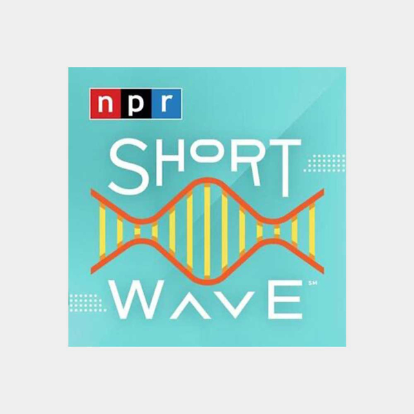 Short Wave Podcast Tile Sticker