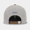 Grey and brown cap with the NPR Wake Up & Listen Design embroidered on the front